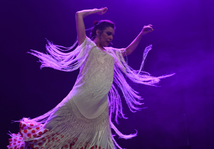 Imagen principal del artículo Ana Salazar: una artista que vive el flamenco sin límites